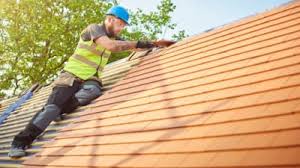 Best Roof Moss and Algae Removal  in Pocono Ranch Lands, PA