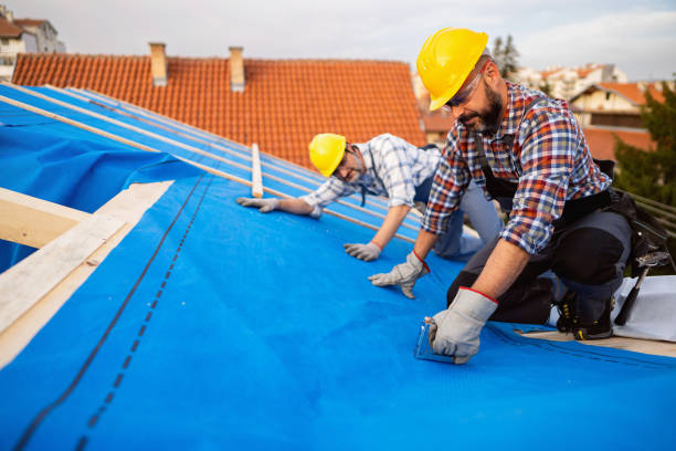 Steel Roofing in Pocono Ranch Lands, PA