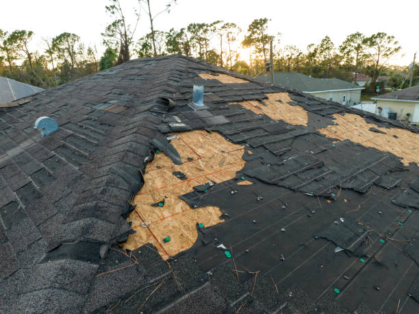 Best Roof Insulation Installation  in Pocono Ranch Lands, PA